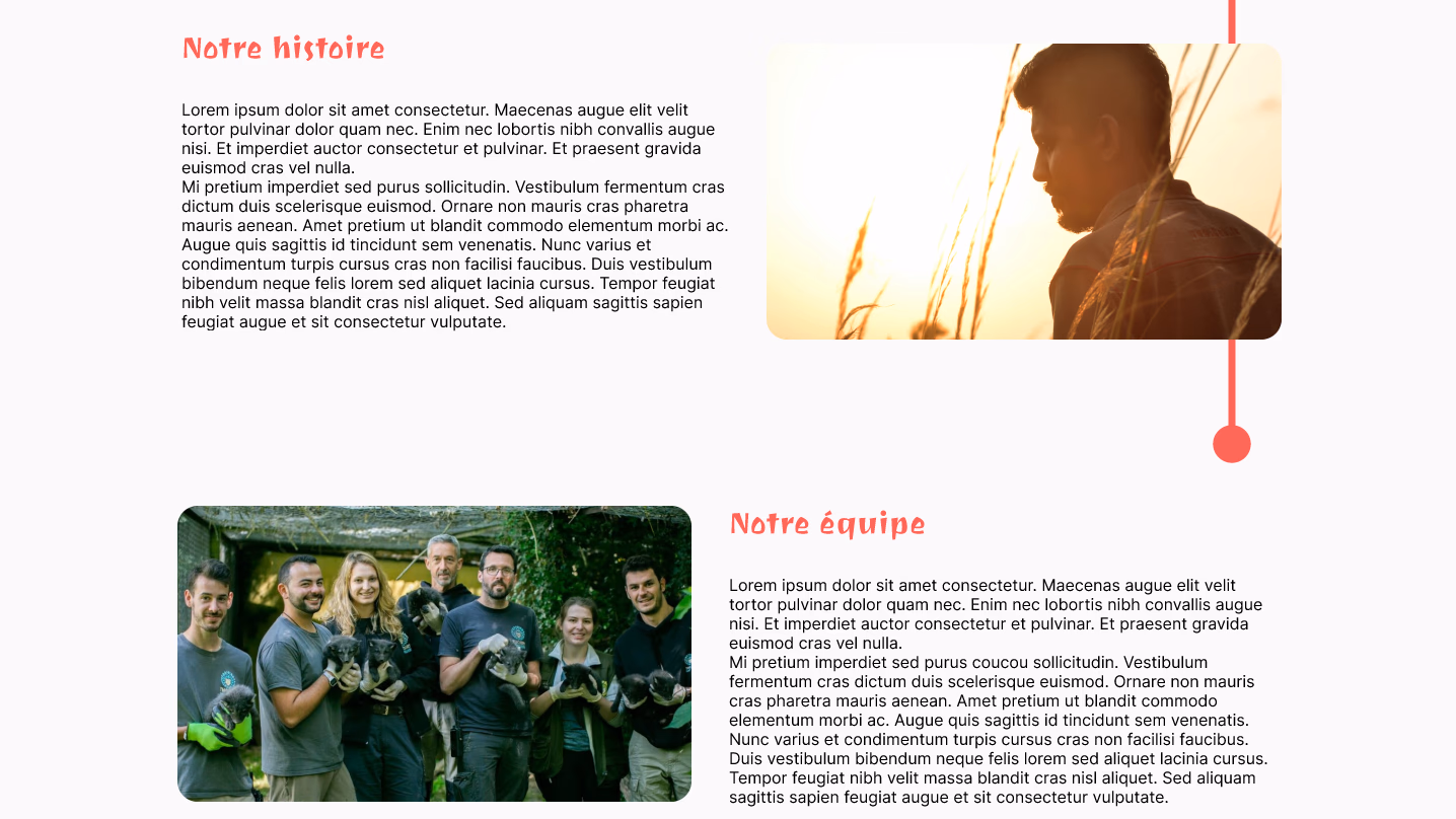 image de mon projet personnel Maquette pour le site la tanière des loups